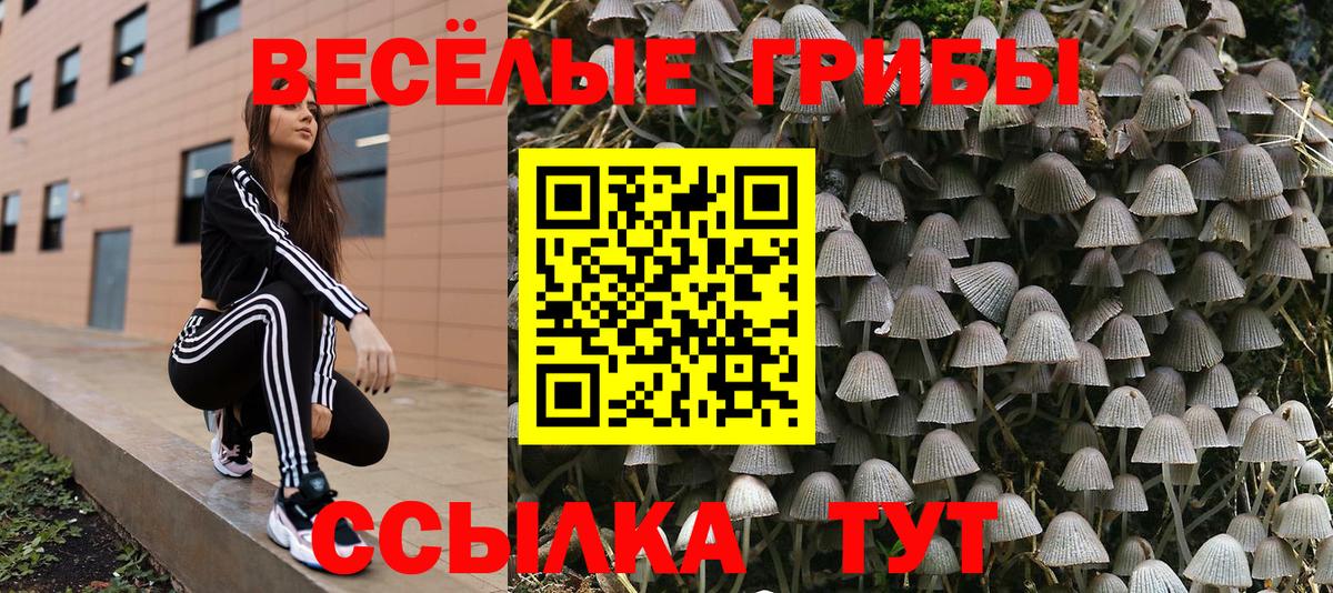 Мурманск  Галлюциногенные грибы MAGIC MUSHROOMS  Вход с VPN 