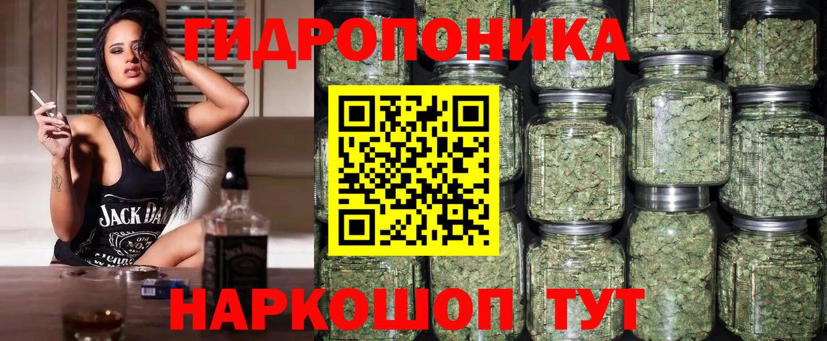 Каннабис сатива Мурманск